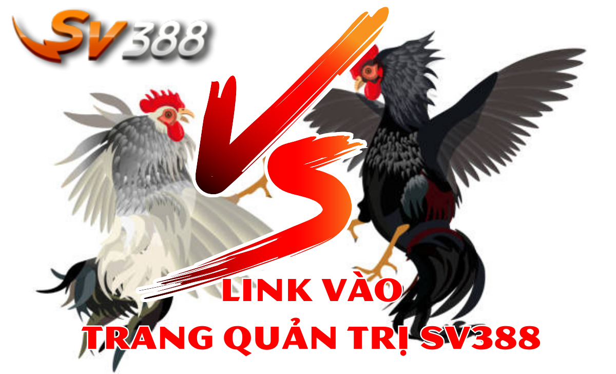 Trang quản trị SV388 là một trong những nền tảng cá cược thể thao trực tuyến hàng đầu hiện nay